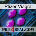 Pfizer Viagra 04